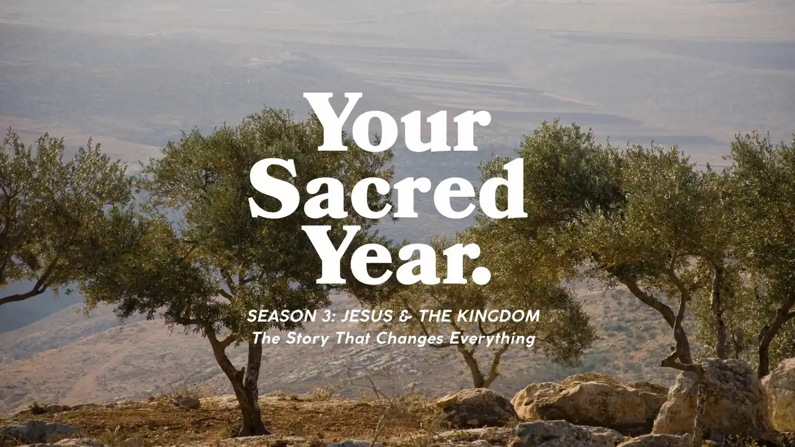 Your Sacred Year